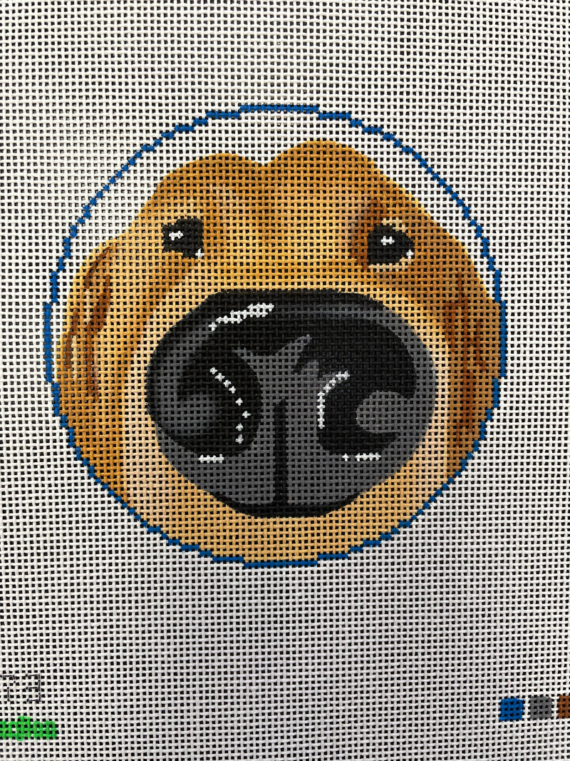 Golden Retriever BOOP