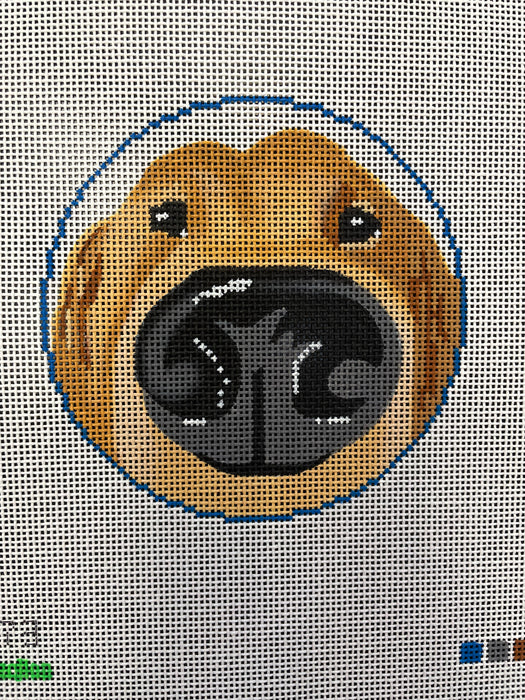 Golden Retriever BOOP