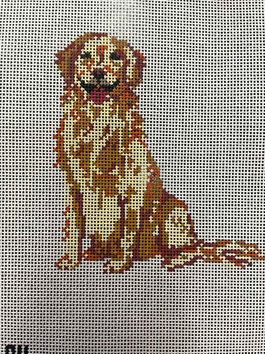 Golden Retriever 18 mesh