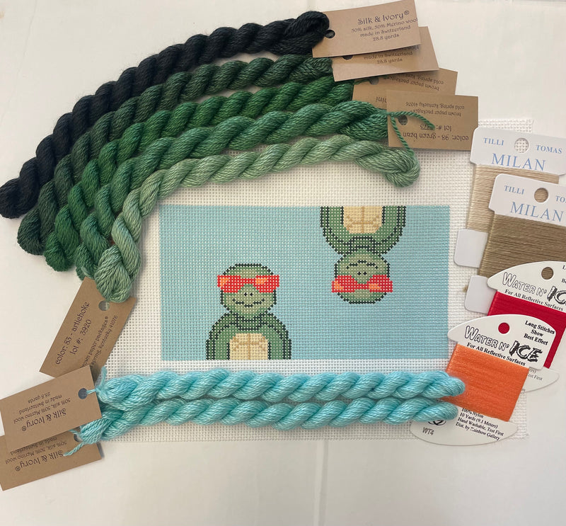 Turtle Sunnies Case Kit