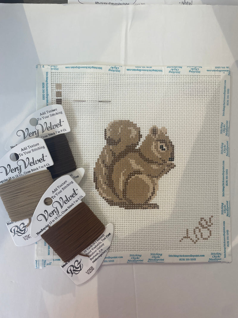 Baby Squirrel Kit