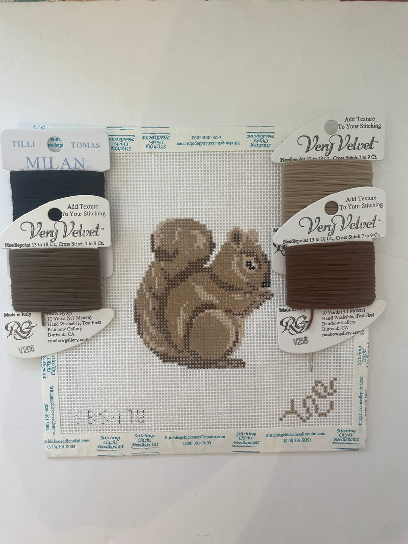 Baby Squirrel Kit