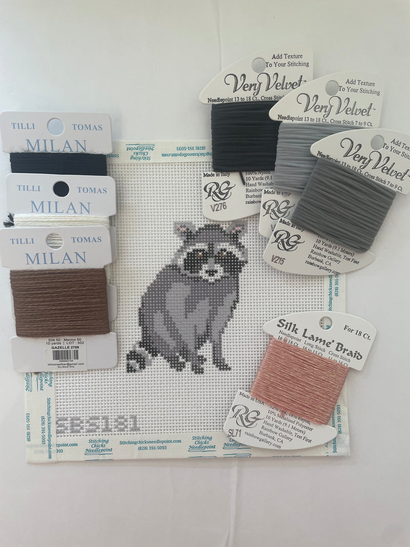 Baby Raccoon Kit