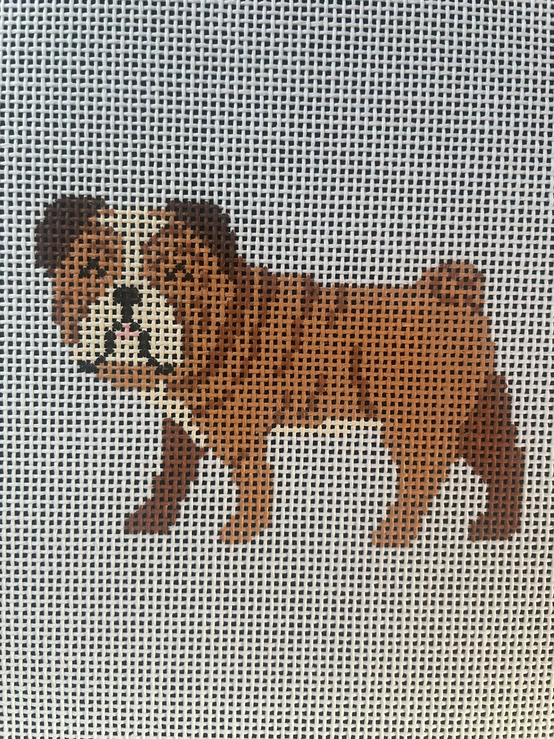 Bulldog - Uga 13