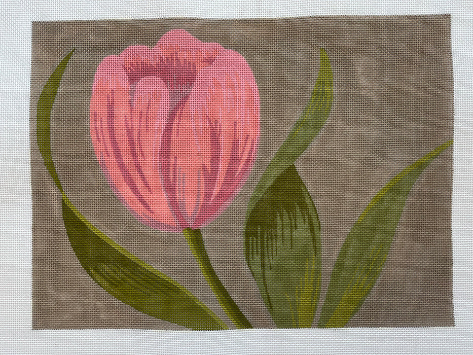 Pink Tulip