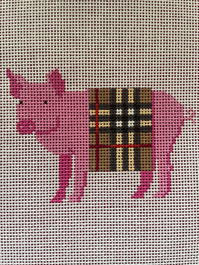 Pig in B Plaid Blanket