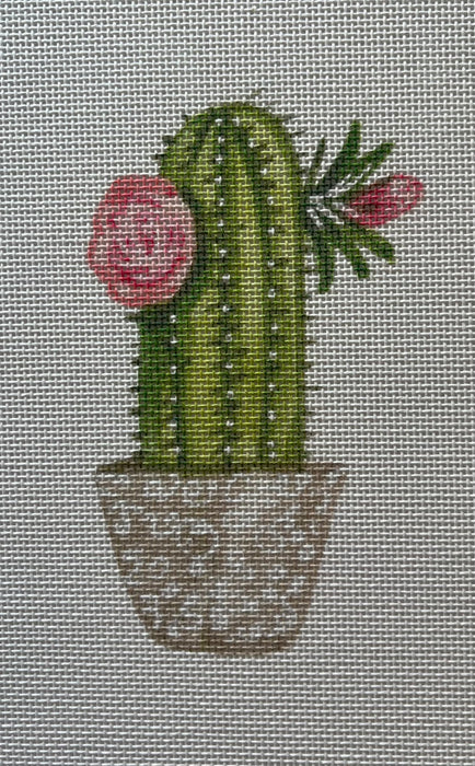 Cactus w/flowers