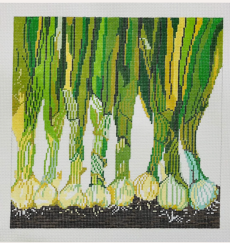 Green Onions- 13 mesh