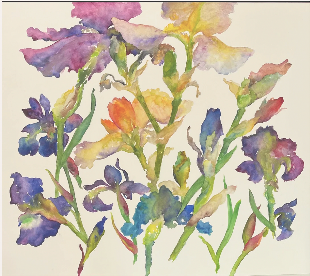 Carol Curtis Designs