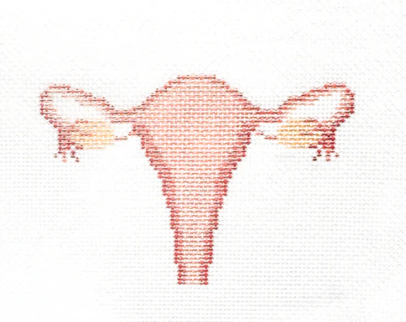 Uterus