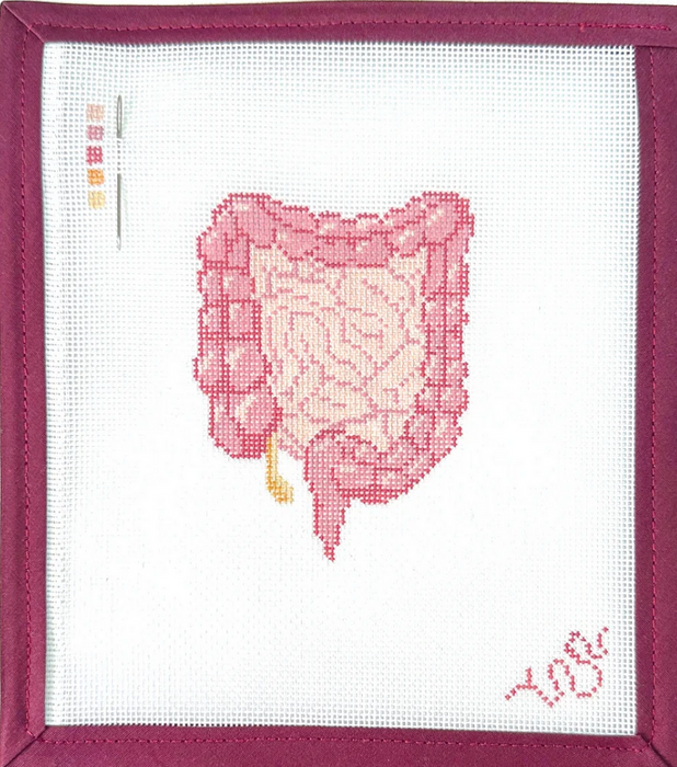 Digestive Tract