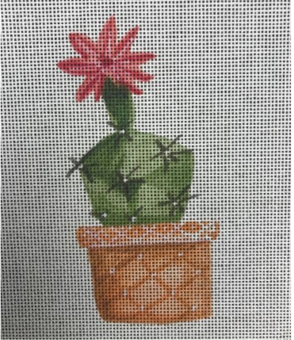 Cactus w/flower on top