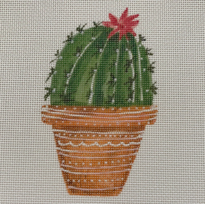 Cactus w/flower top rt