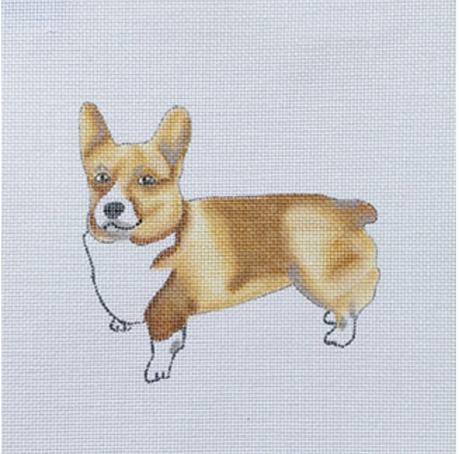 Corgi