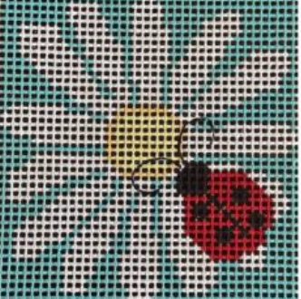 Lady Bug