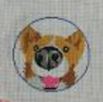 Corgi BOOP