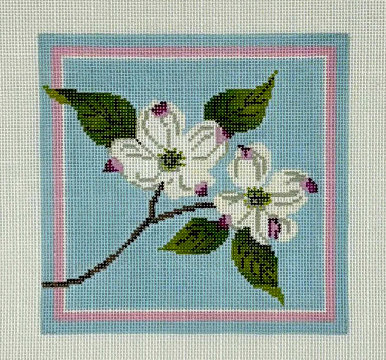 White Dogwood Blossoms