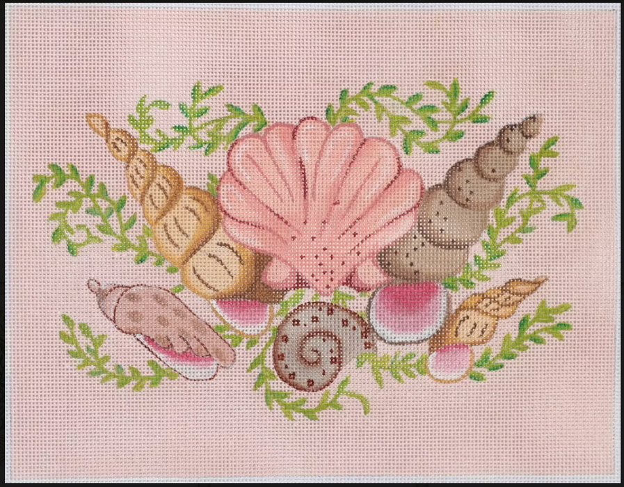 Mixed Shells Rectangle – pink sand bkgd.