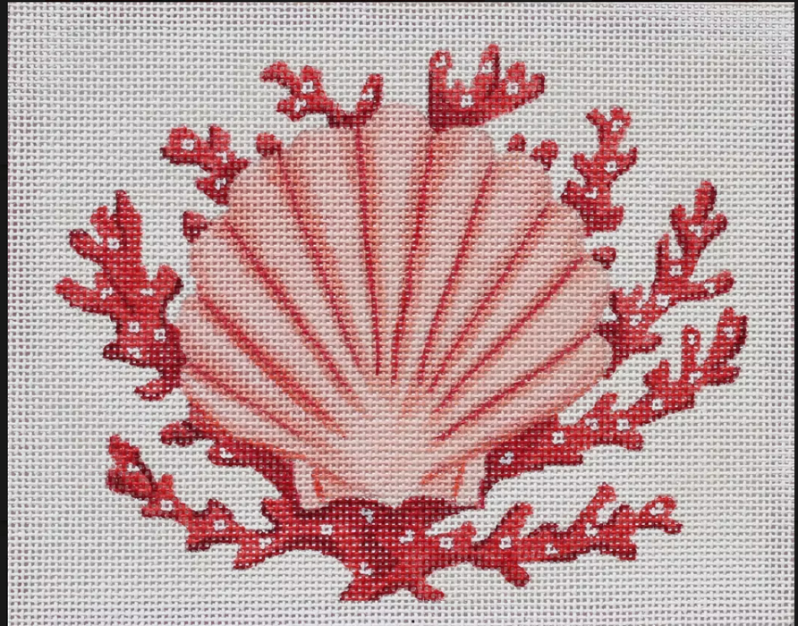 Scallop Shell w/ Coral