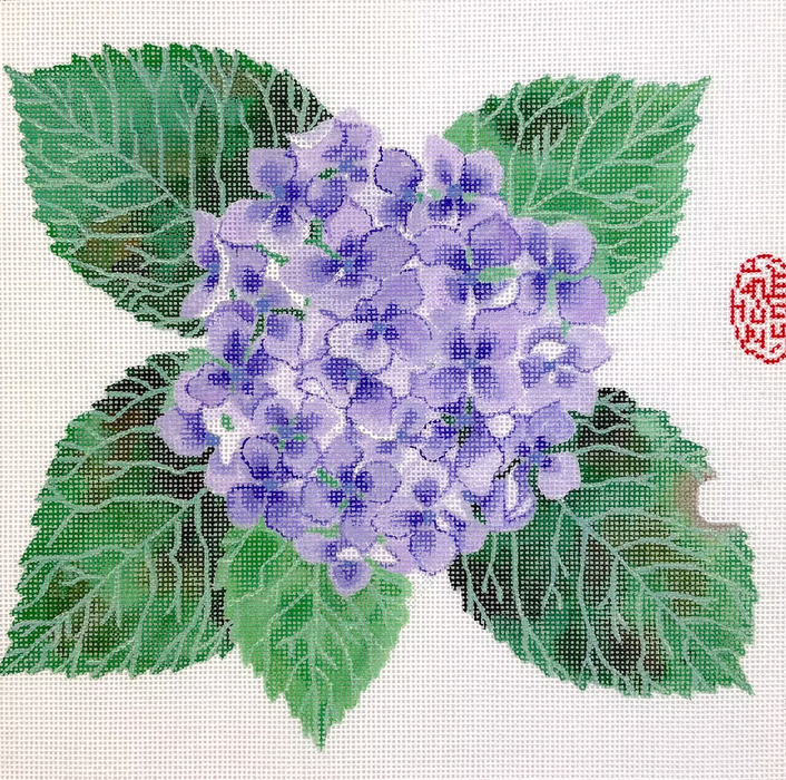 Gabby Malpas – Hydrangea Blossom