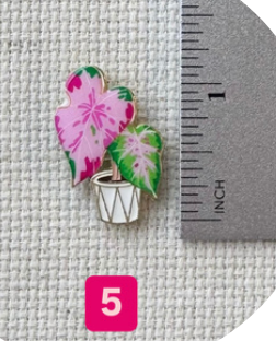 Plant 5