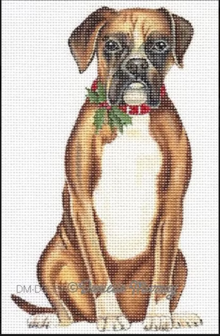 Dog: Holiday Boxer standup
