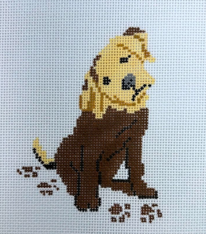 Muddy Yellow Lab Pup