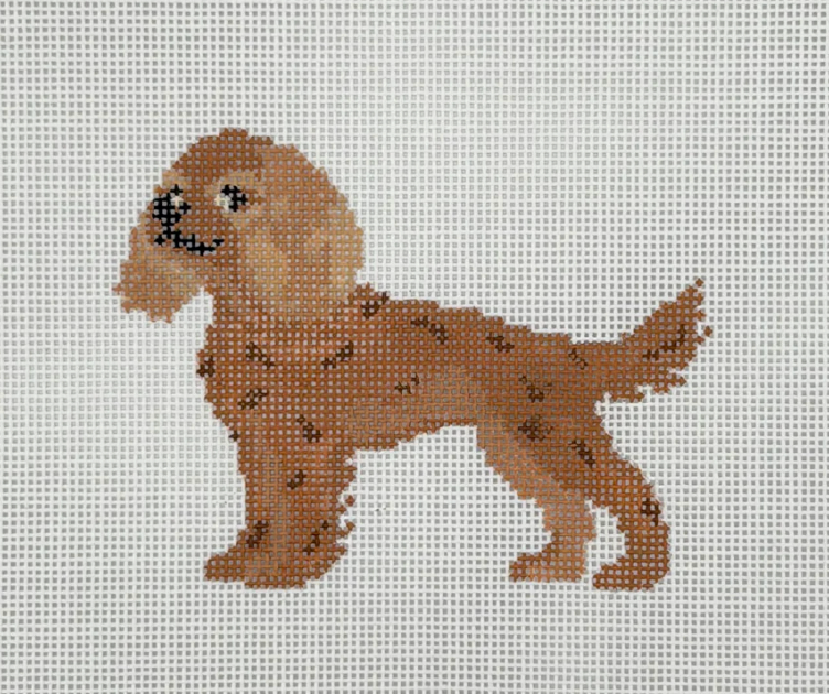 Cavalier- Ruby