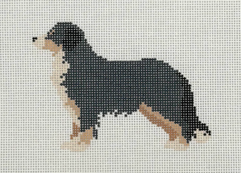 Bernese Mountain Dog