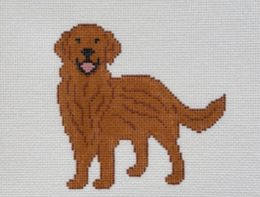 Red Golden Retriever