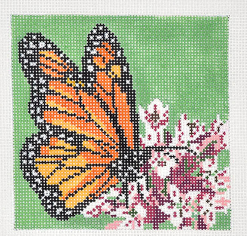 Monarch on Milkweed