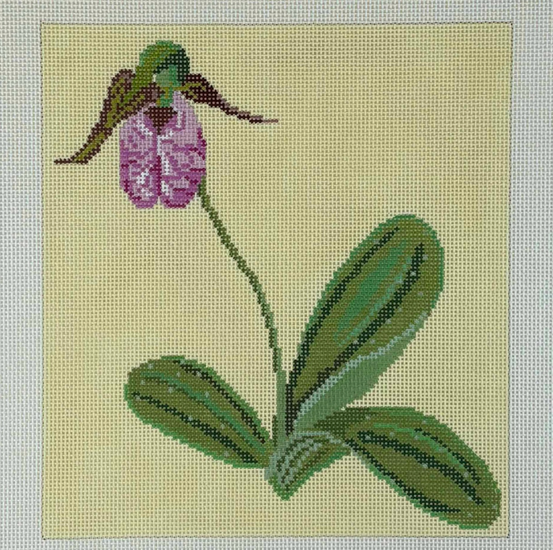 Pink Lady's Slipper (on 13 mesh)