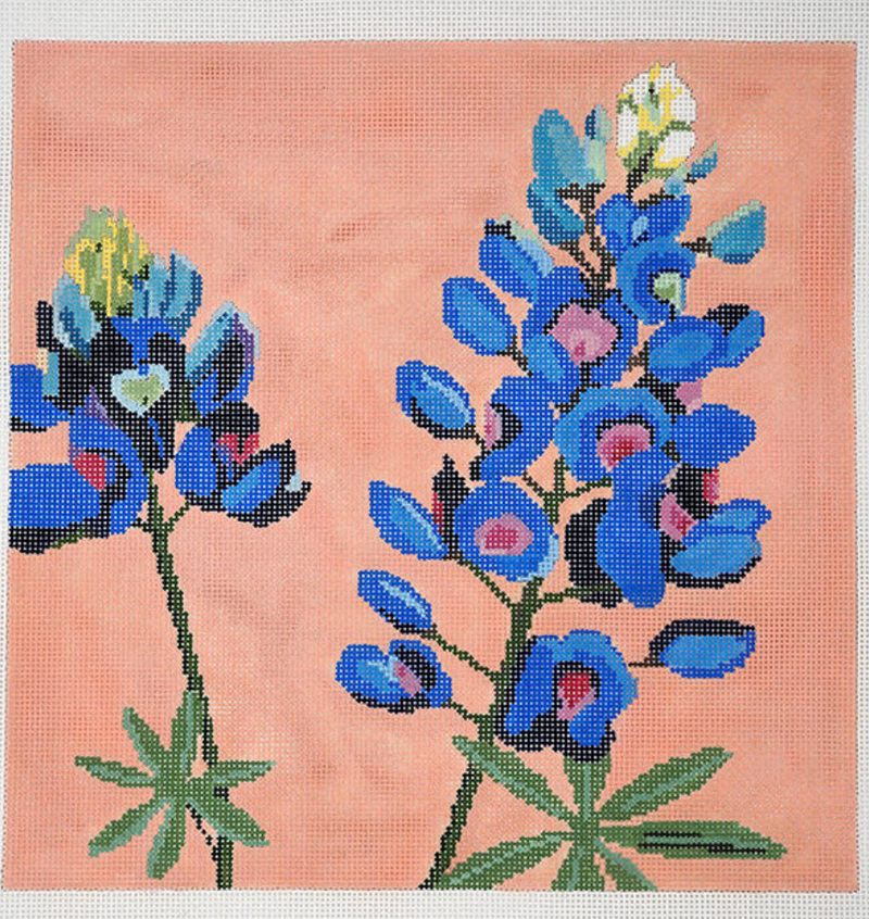 Bluebonnet (lupine)