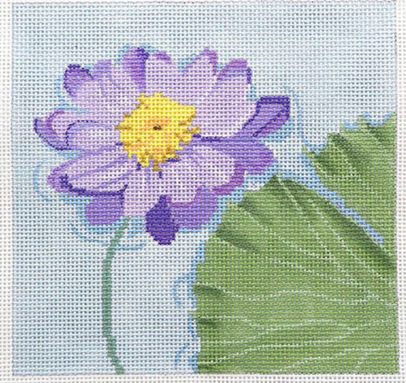 Water Lily - Kew Gardens