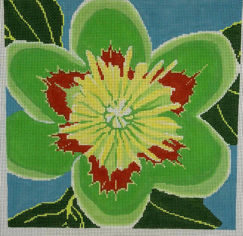 Tulip Poplar Blossom