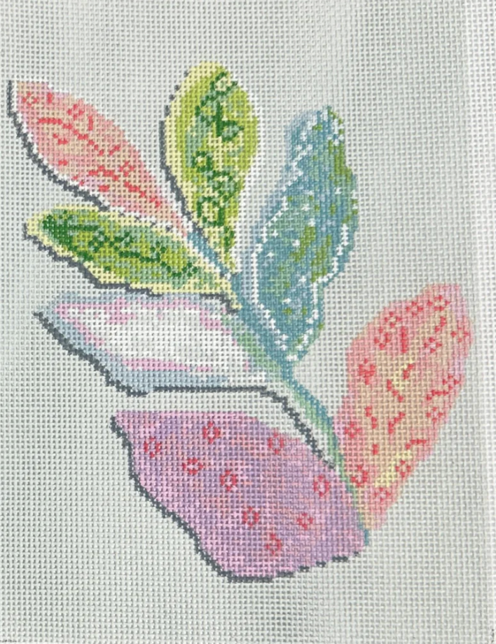 Colorful Plant