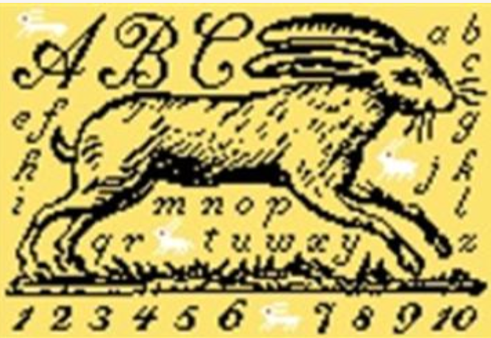 Toile Rabbit Black