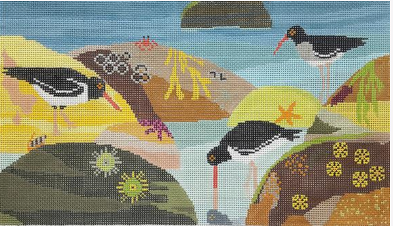 Oyster Catcher