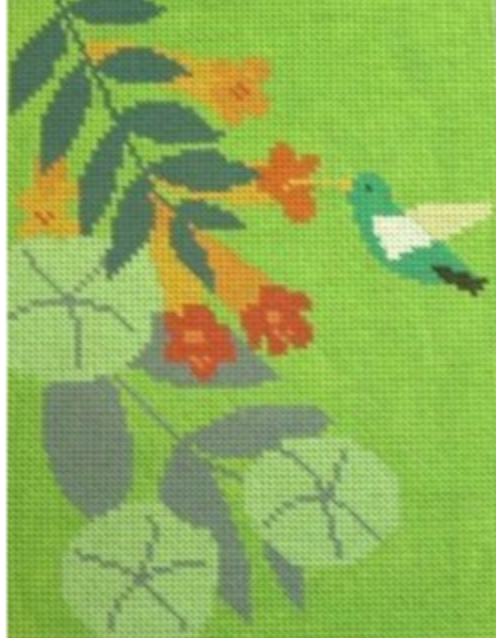 Colibri