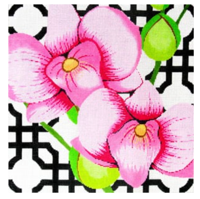 Pink orchid on black