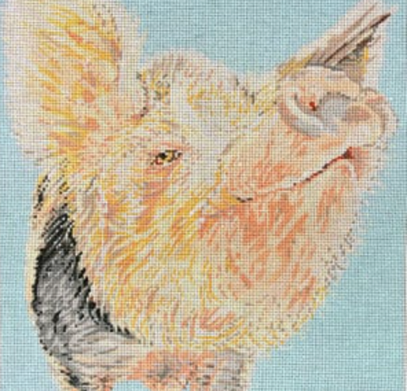 Pig Snooty