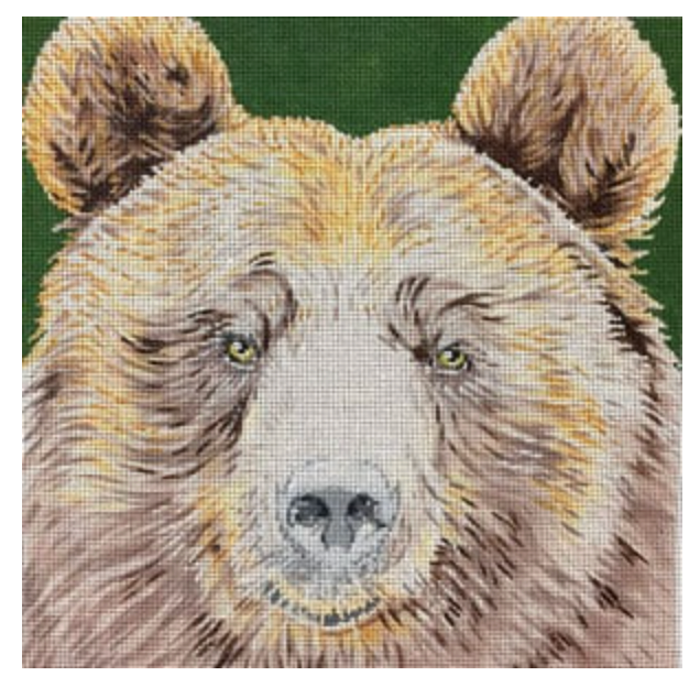 Grizzly Bear