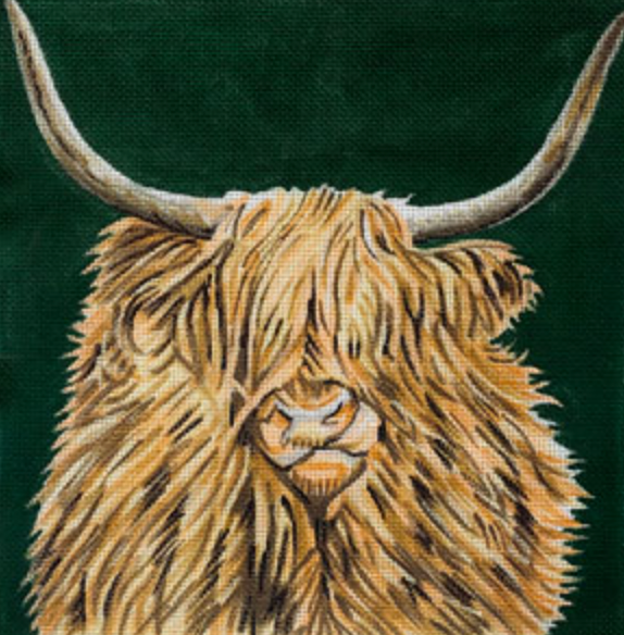 Scottish Highland Cow