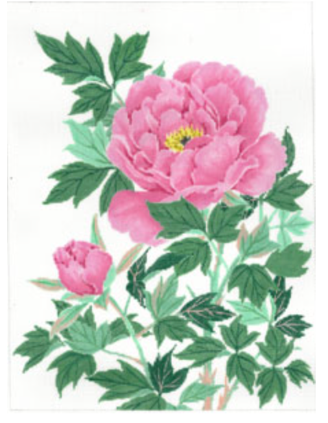Pink Peony