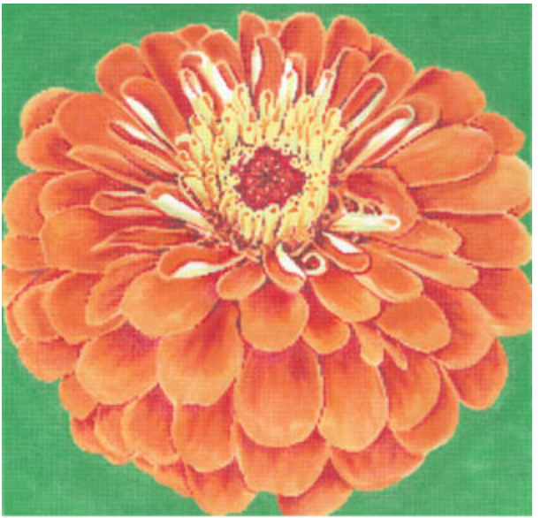 Orange Zinnia/ Green Background
