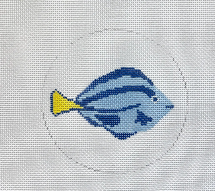 Blue Tang Fish