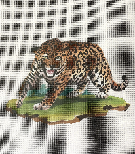 Fierce Leopard on Grass
