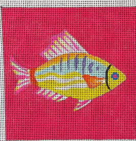 Fish on Red