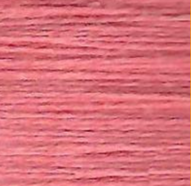 Essentials 501 by Planet Earth Fibers