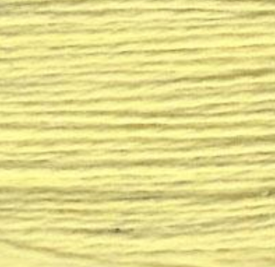 Essentials 501 by Planet Earth Fibers